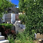 9236b * Лумбарда